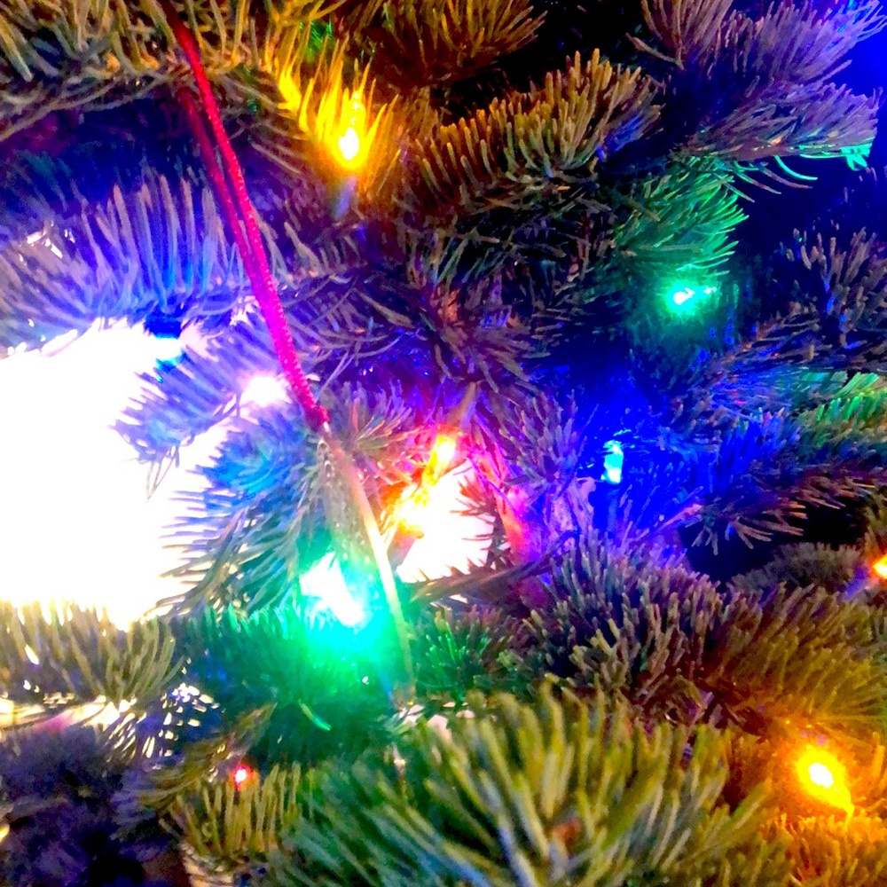 Meet your Posher, Kali